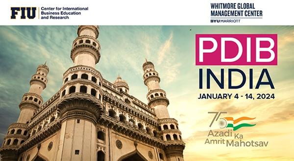 PDIB India
